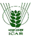 ICAR Logo